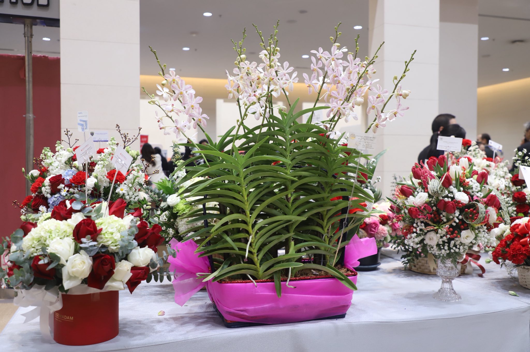 title - เลขาฯ ส.ป.ก. ร่วมงานวันชาติญี่ปุ่น ณ ศูนย์การประชุมแห่งชาติสิริกิติ์